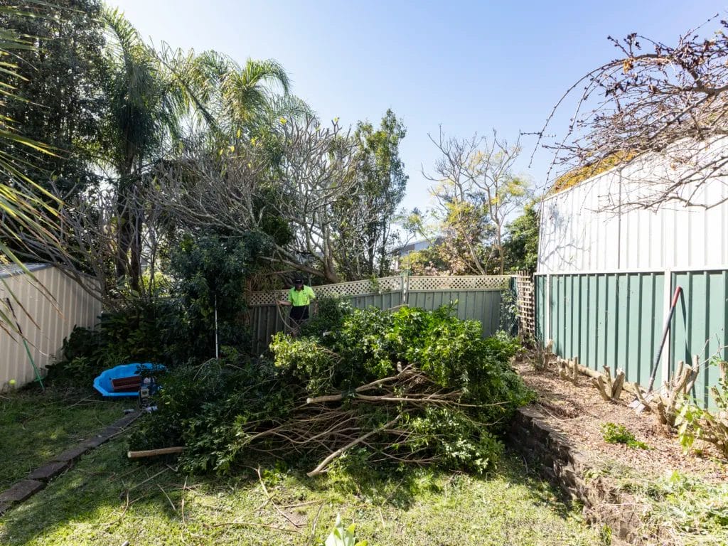 Backyard Before Trees Cramped space