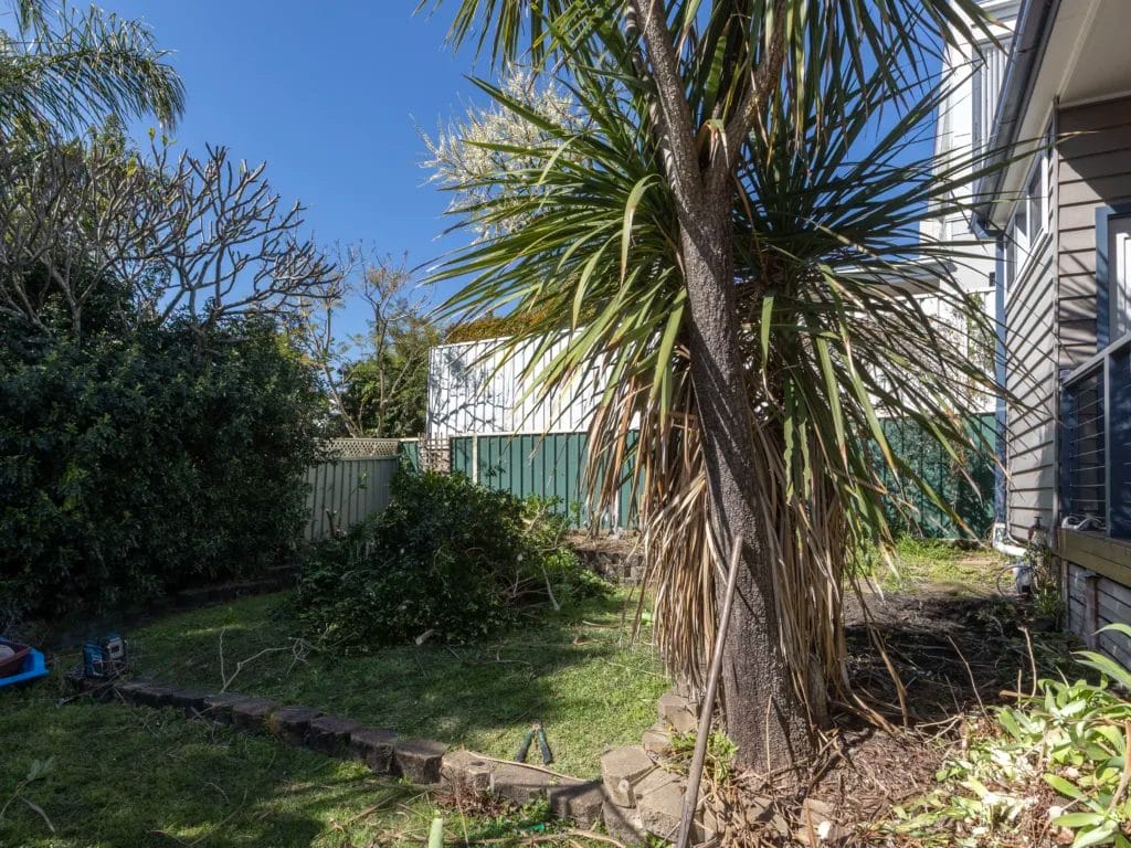 Backyard Before Trees Cramped space